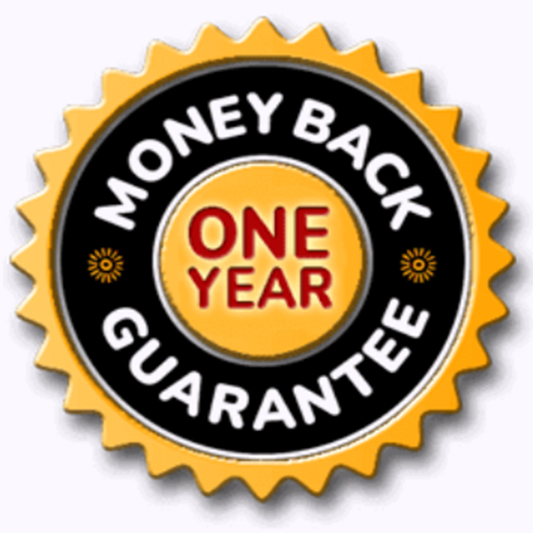 MoveWell Daily guarantee badge